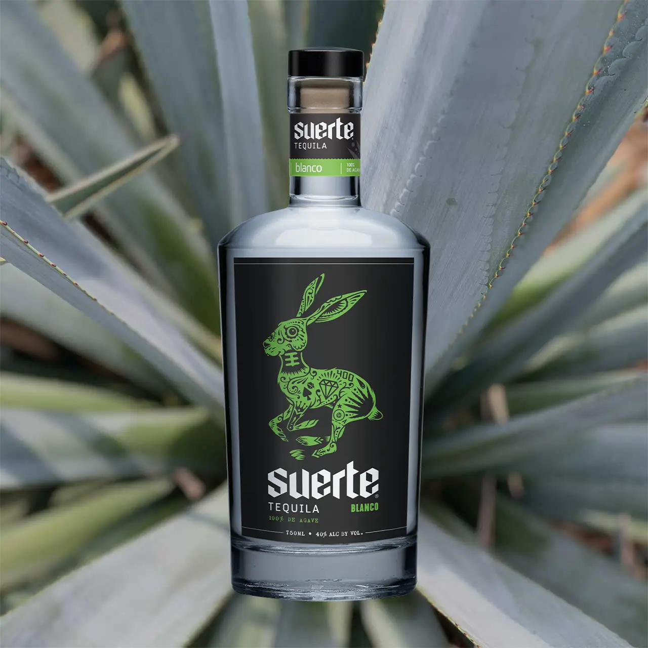 Suerte Blanco Product Image